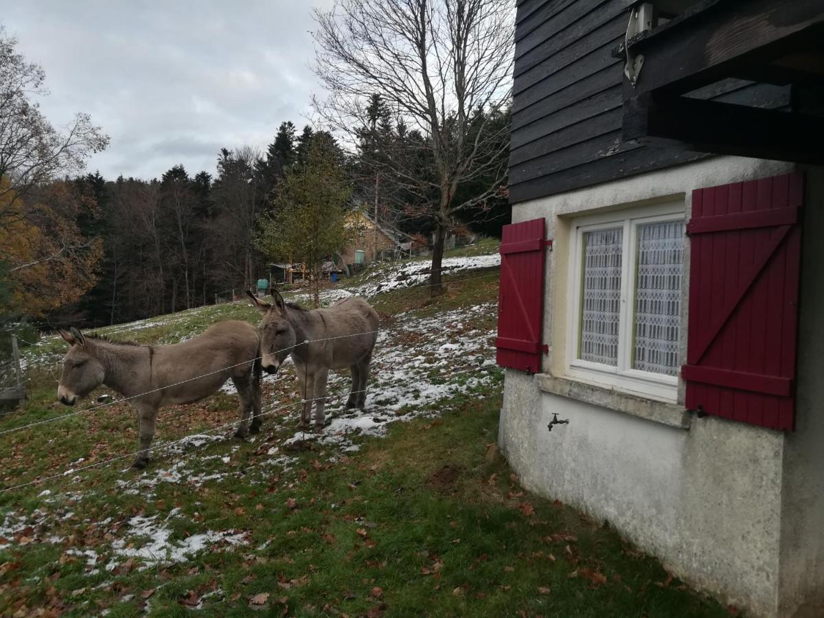 Le Chalet De Rothenbuhl Dabo Екстериор снимка