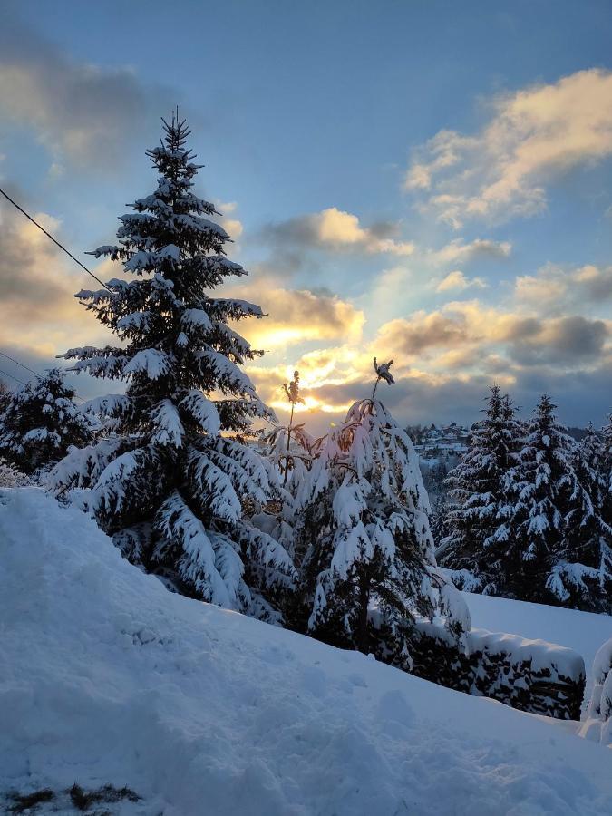 Le Chalet De Rothenbuhl Dabo Екстериор снимка