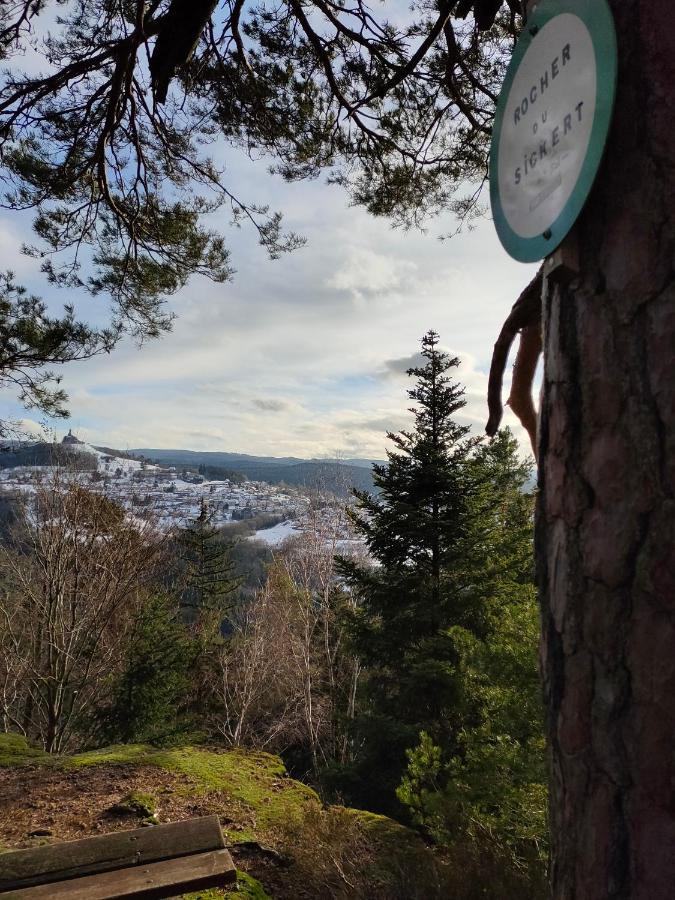 Le Chalet De Rothenbuhl Dabo Екстериор снимка
